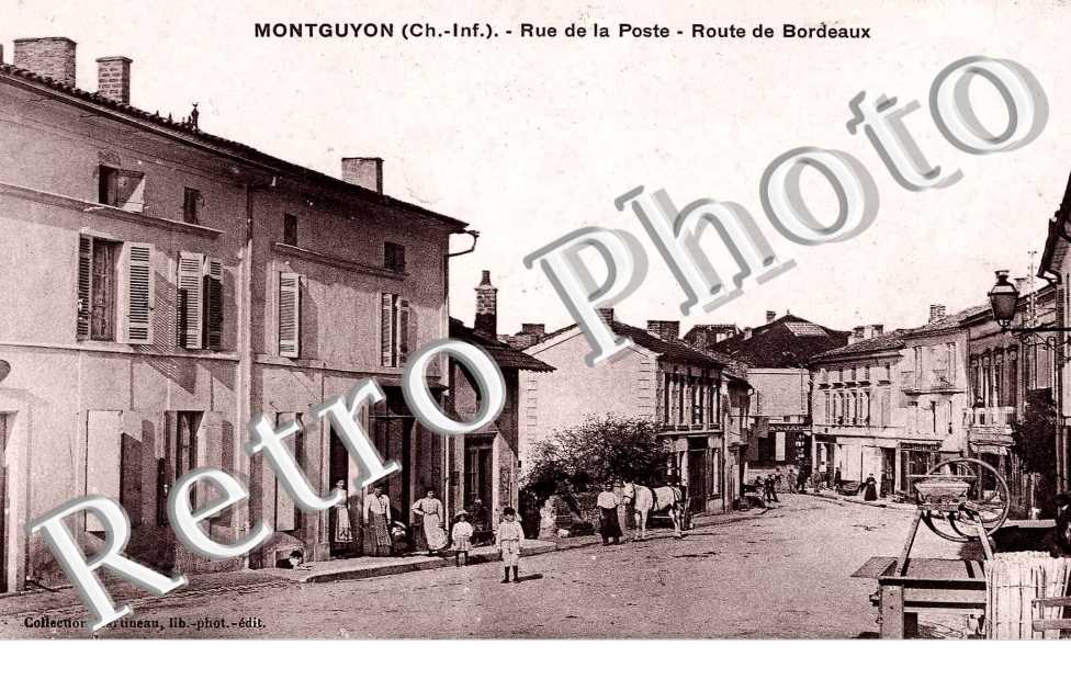 les grandes promenades et le groupe scolaire