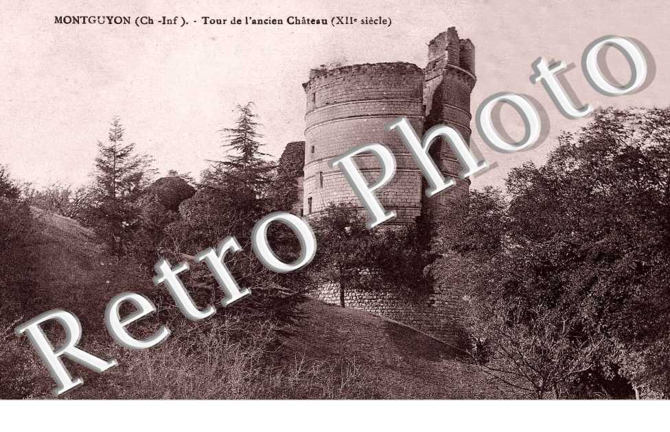 tour de l&#039;ancien chateau