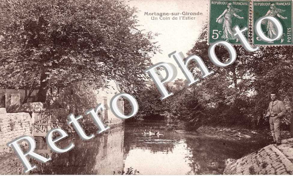 un coin de l&#039;Estier