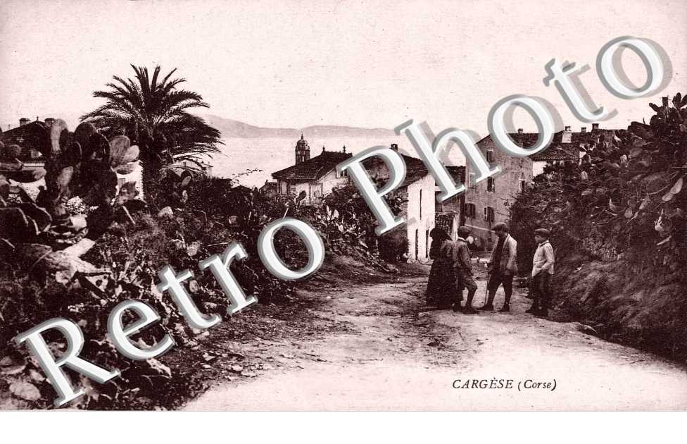 (vue d&#039;ensemble)