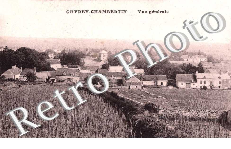 Vue Générale