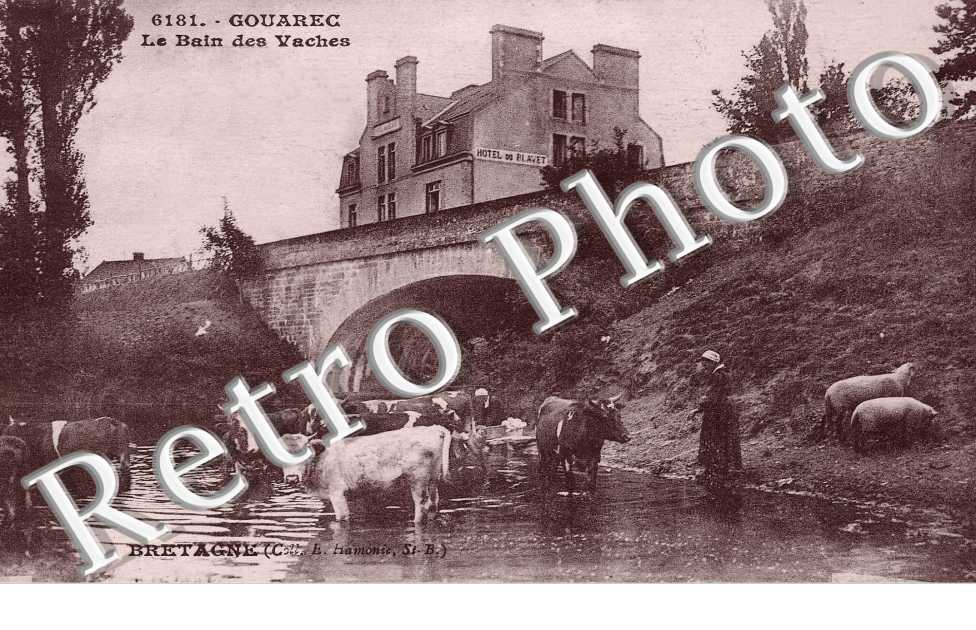 Le Bain des Vaches