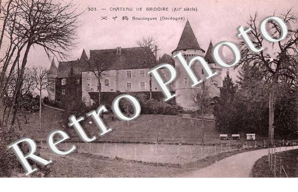 Chateau de Bridoire