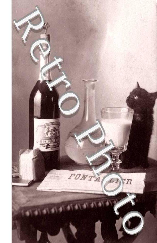 PERNOD une bouteille de Pernod et un chat