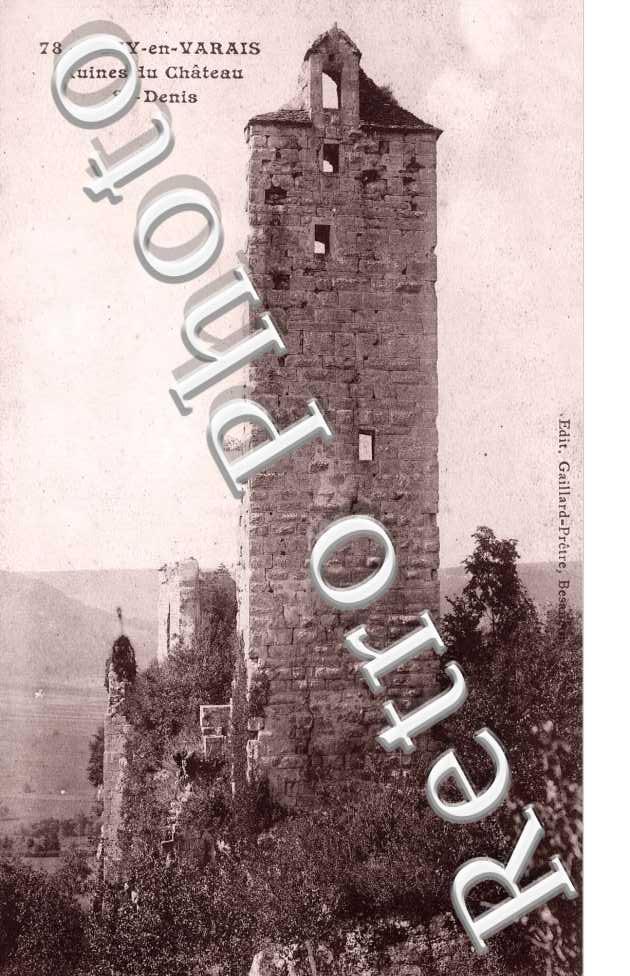 ruines du chateau  Saint Denis