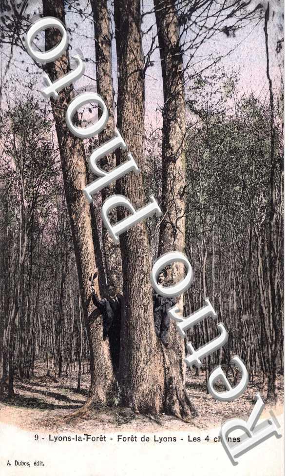 foret de Lyons - les 4 chenes