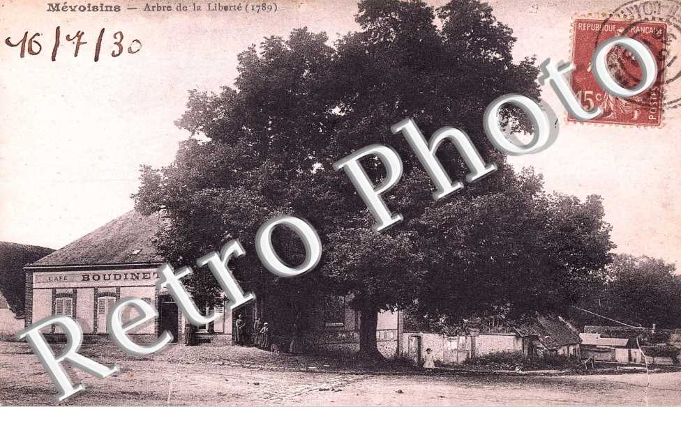 Arbre de la liberte