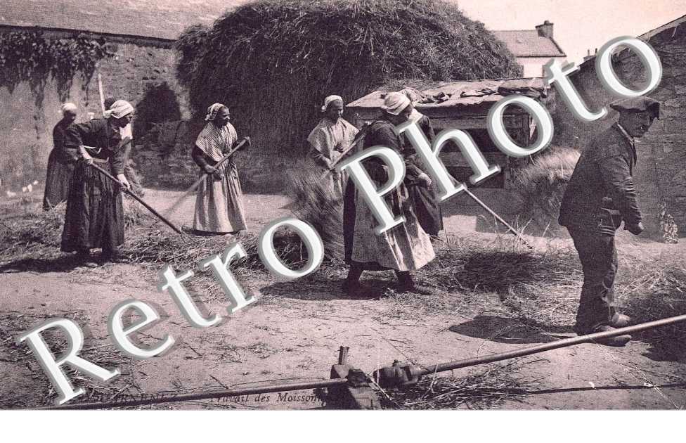 Travail des moissonneurs
