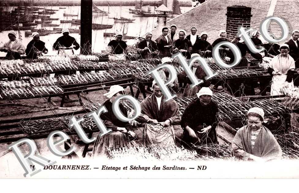 etetage et sechage des sardines
