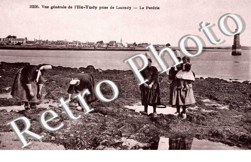 vue generale de l&#039;ile de tudy prise de loctudy - le perdrix