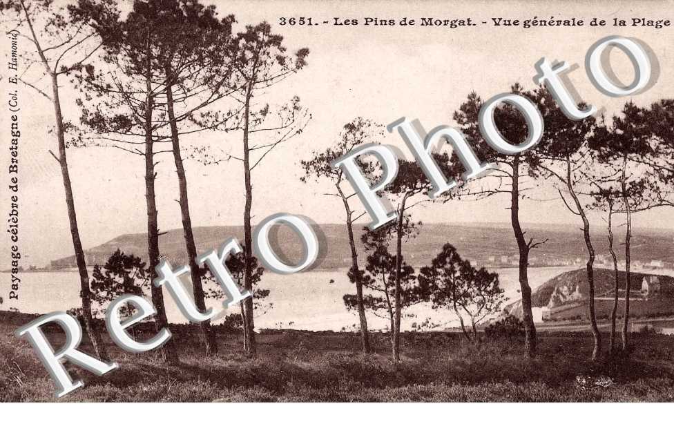 les pins de morgat, vue generale de la plage