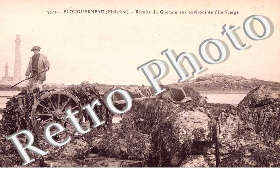 recolte du Goëmon aux environs de l&#039;ile vierge