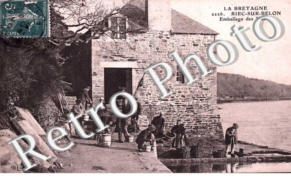 emballage des huitres