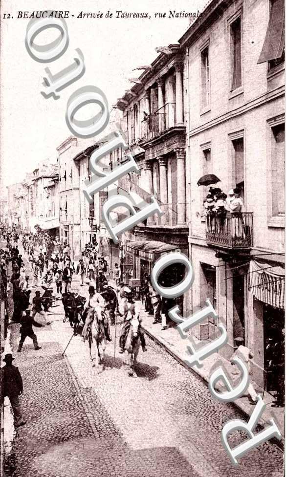 Arrivee de taureaux - rue nationale