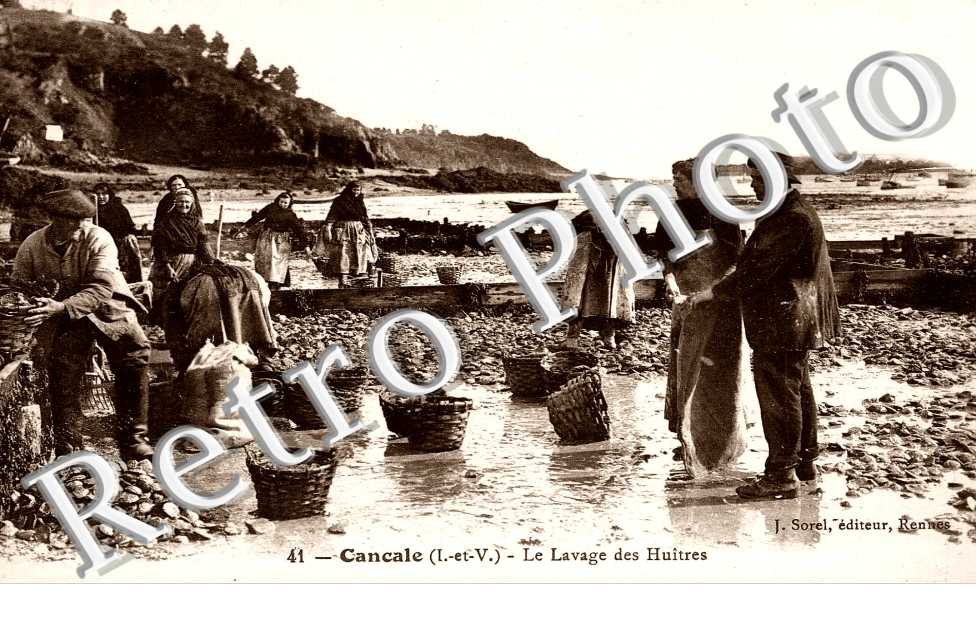 le lavage des huitres