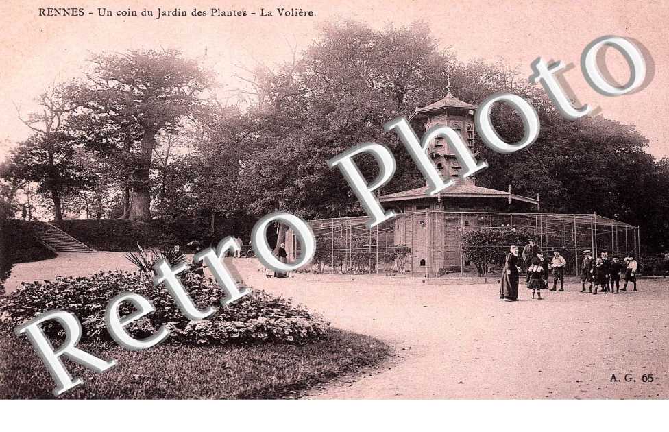 UN COIN DU JARDIN DE PLANTES LA VOLIERE