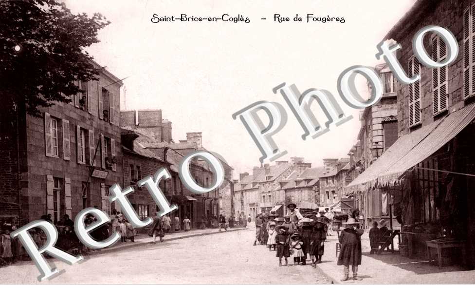 Rue de fougeres