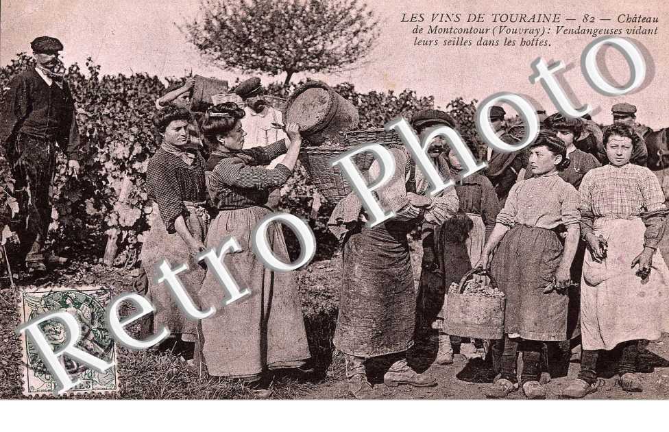 chateau de Montcontour - vendangeurs vidant leurs seilles dans les bottes