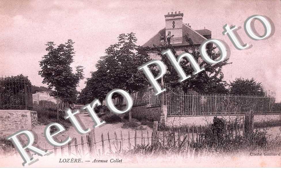 avenue COLLET