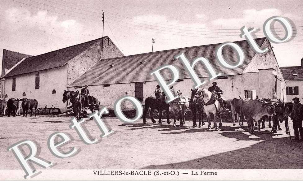 La ferme