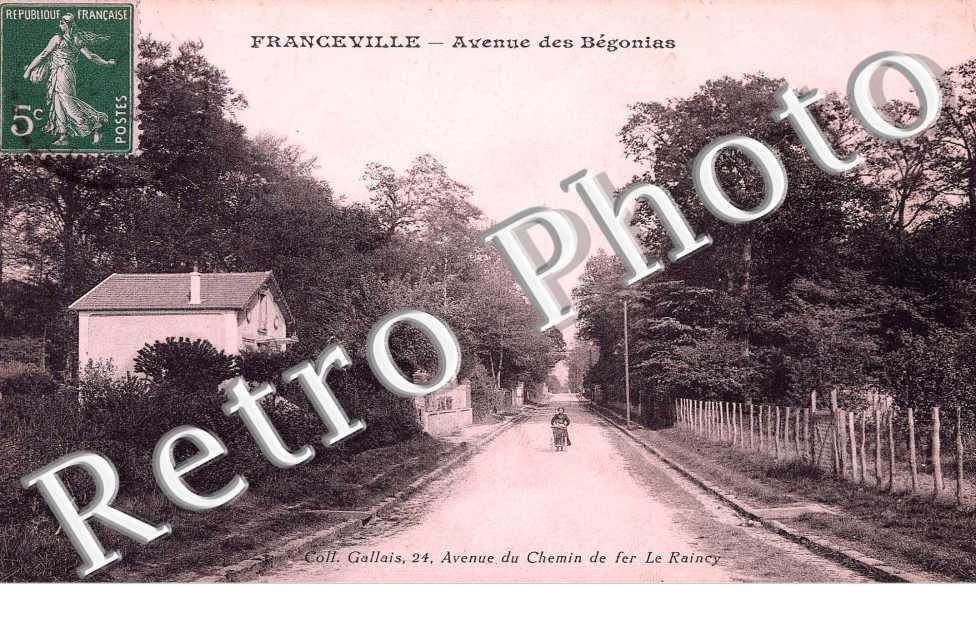 Avenue des bégonias