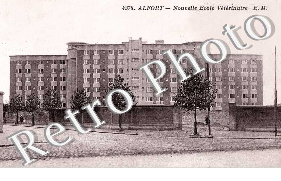 Nouvelle école vétérinaire