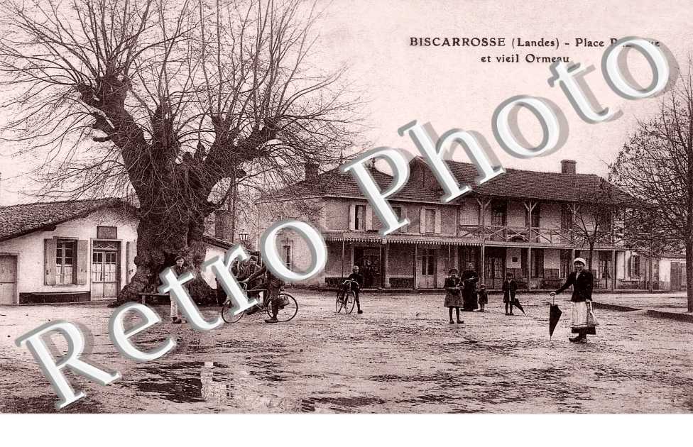 Place publique et vieil ormeau