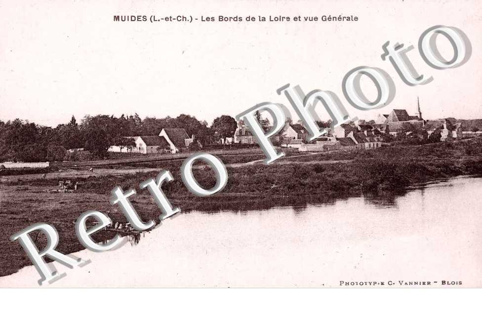 les bords de la Loire et vue generale