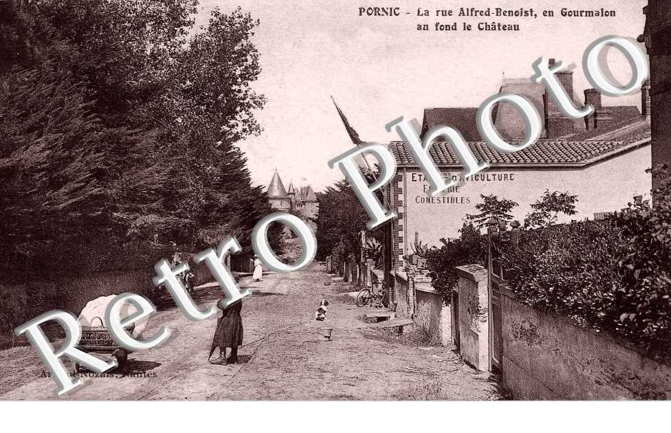 rue Alfred Benoist en Gourmalon au fond le chateau