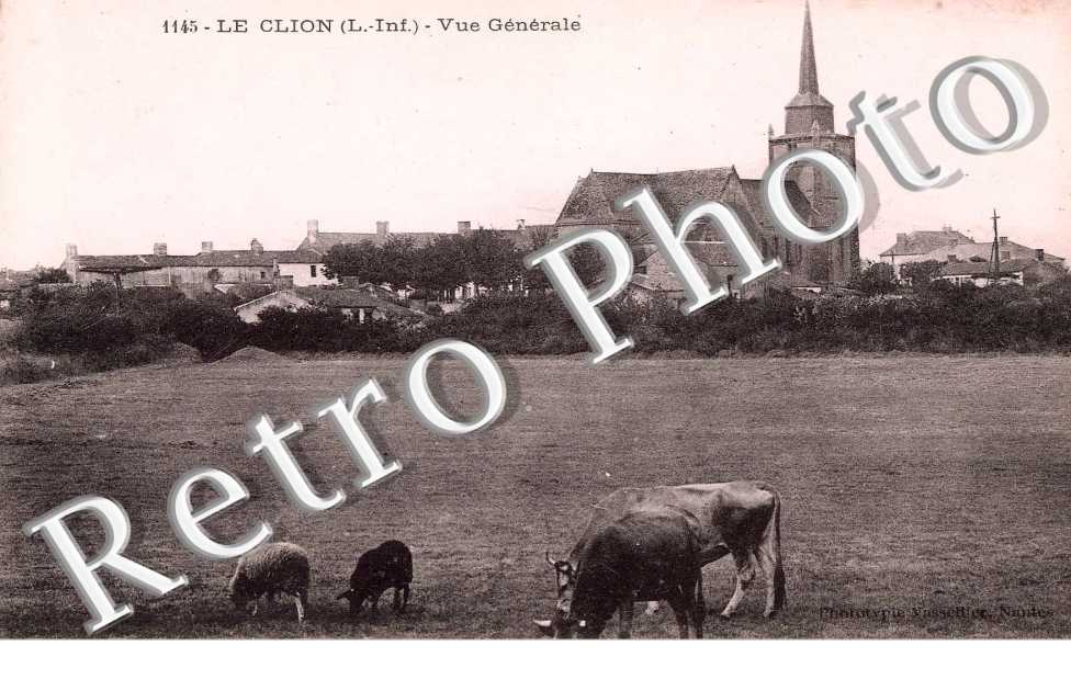 LE CLION  vue generale