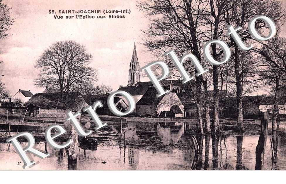 VUE SUR L&#039;EGLISE aux Vinces