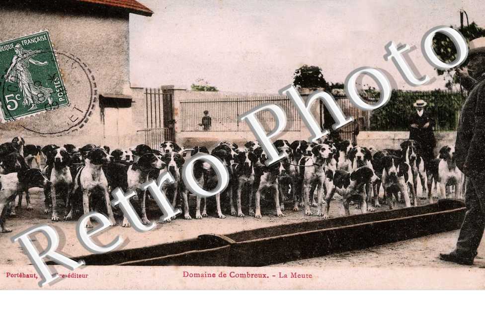 domaine de Combreux, la meute