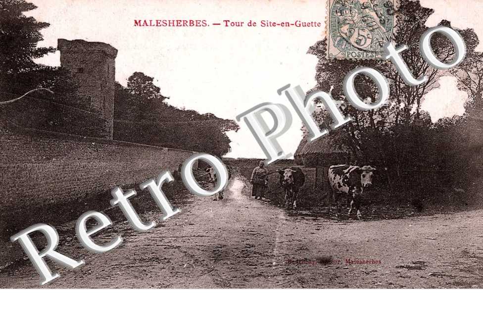 tour de site en guette