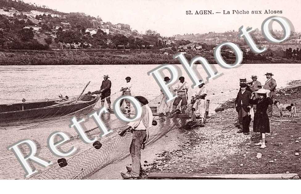 La Pêche aux Aloses