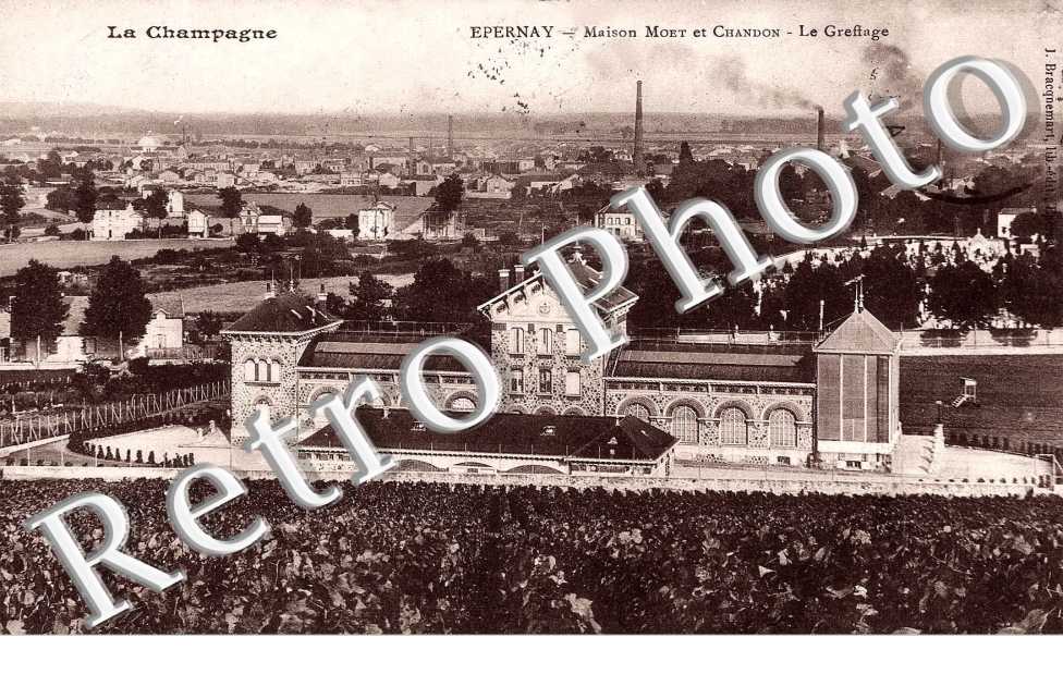 maison moet et chandon  le greffage