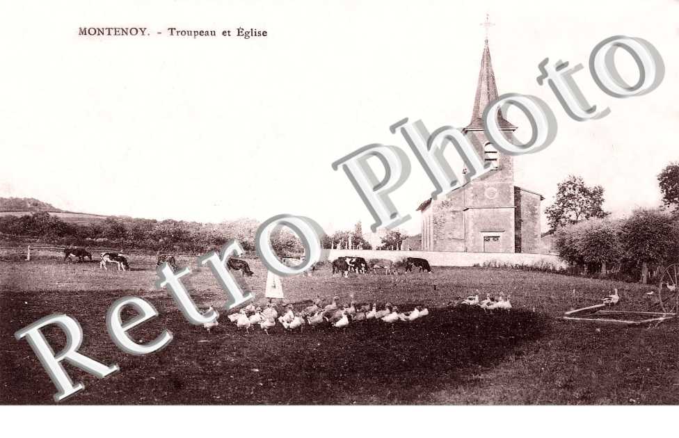 Troupeau de l'eglise