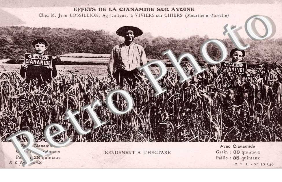 effets de la Cianamide sur Avoine - chez M. Jean Lossillion, agriculteur