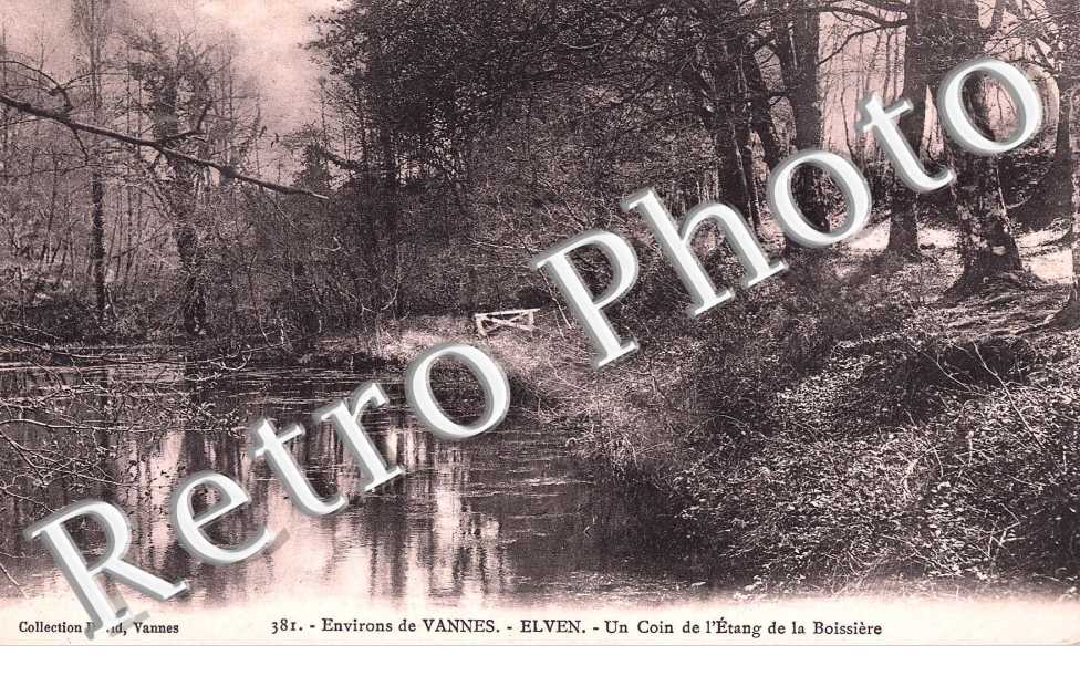 Un coin de l&#039;etang de la Boissiere