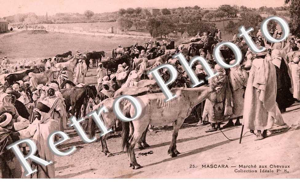le marche aux chevaux
