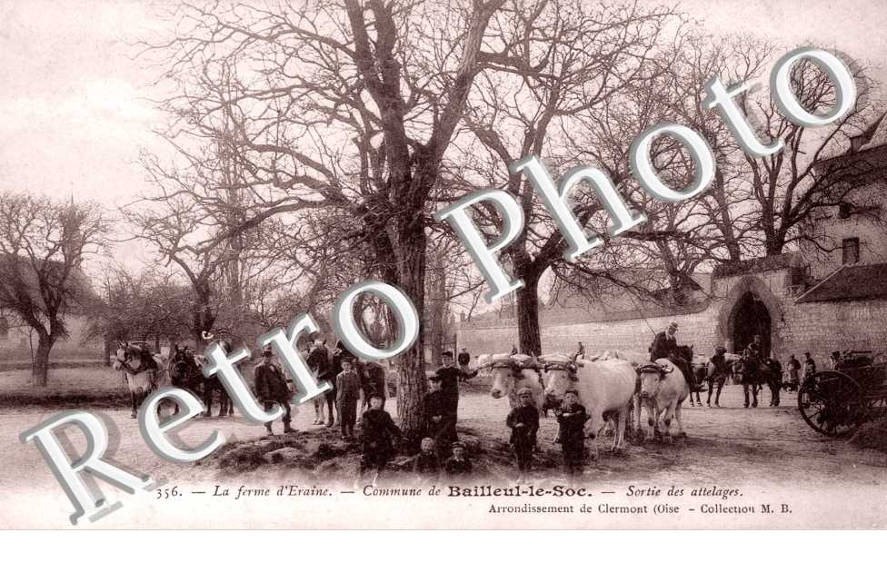 La Ferme d'Eraine - Sortie des Attelages