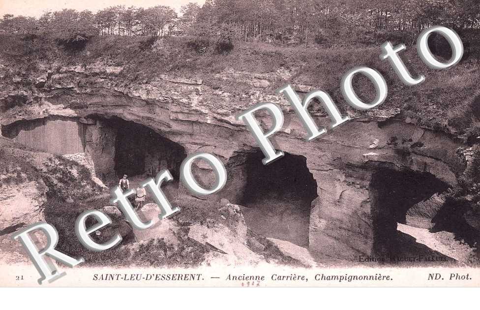 ancienne carriere, champignonniere