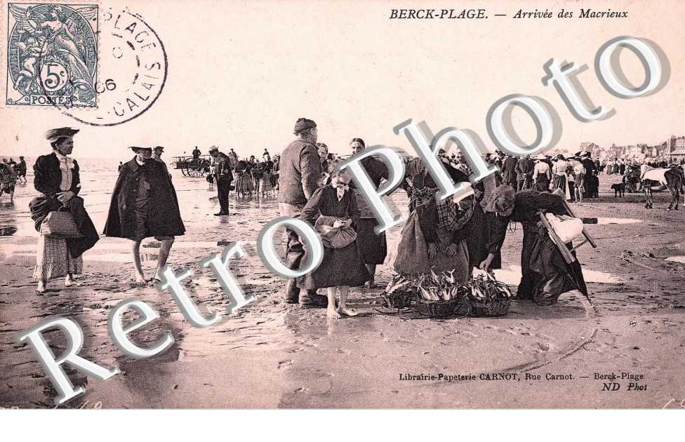 arrivee des Macrieux