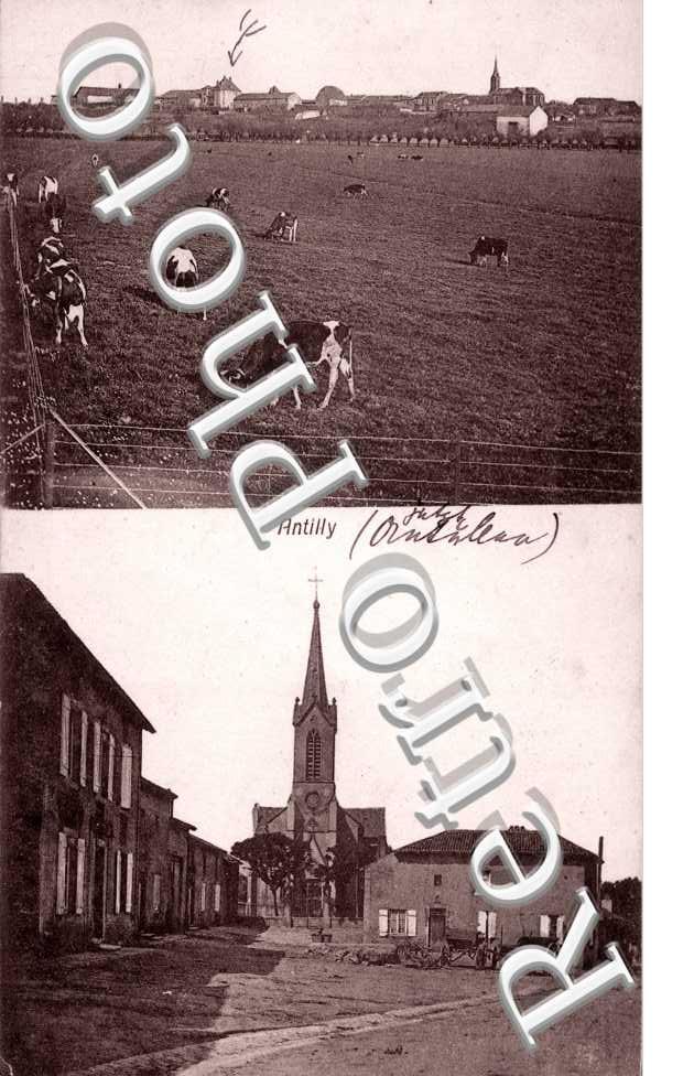 des Vaches dans les Paturages et l&#039;Eglise