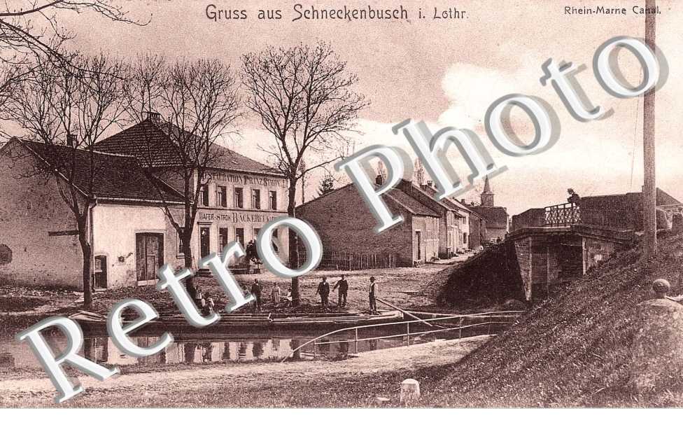 GRUSS AUS SCHNECKENBUSH
