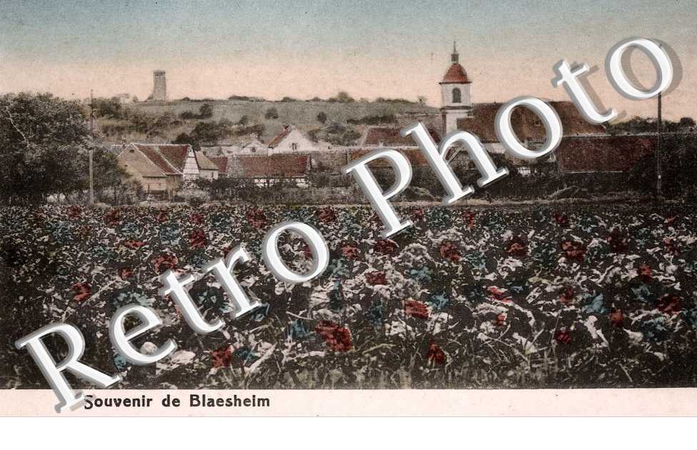 Carte souvenir