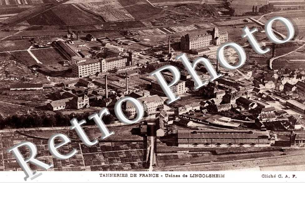 Tanneries de France
