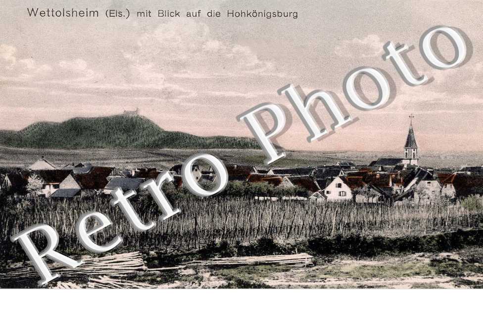 mit Blick auss die Hohkonigsburg