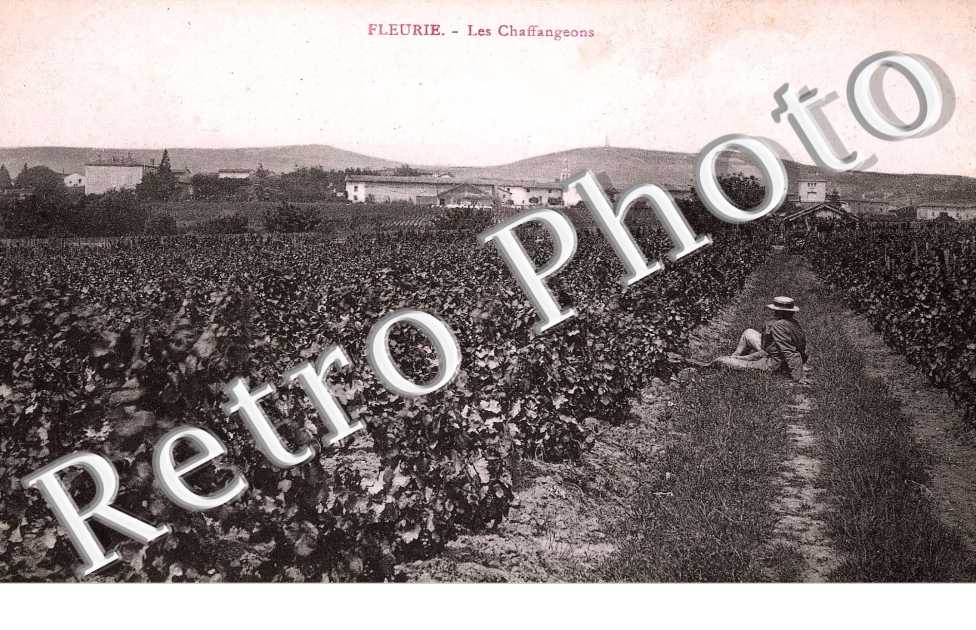 Les Chaffangeons