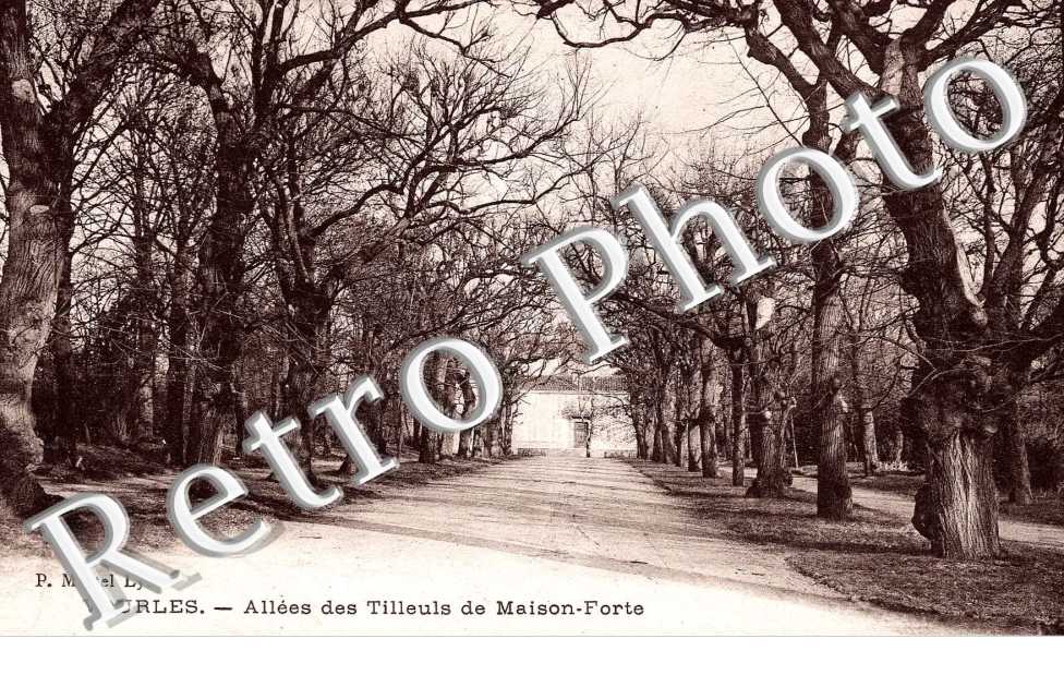 Allee des Tilleuls de maison-Forte