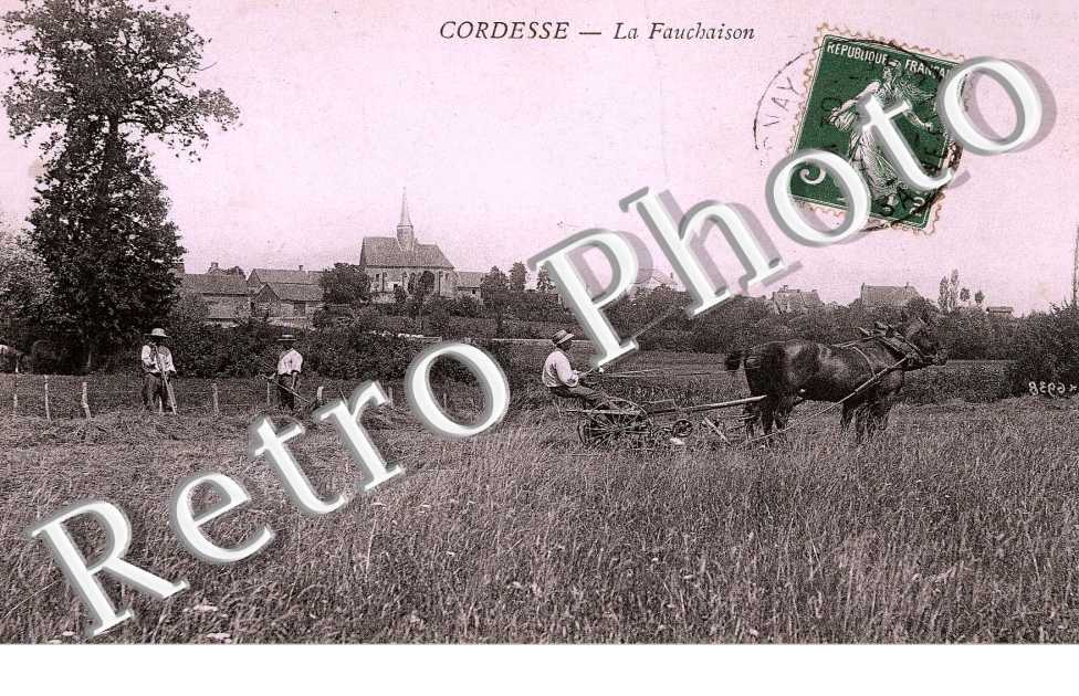 La Fauchaison - agriculture